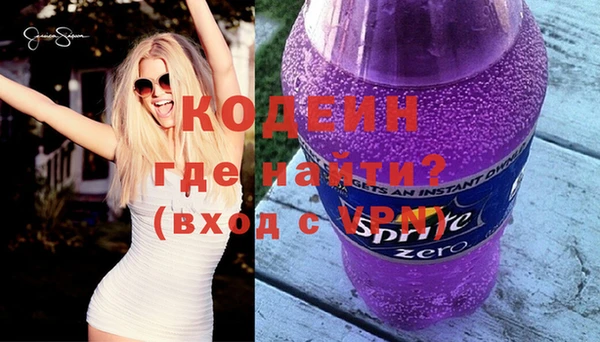 хмурый Арсеньев