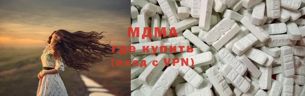 хмурый Арсеньев