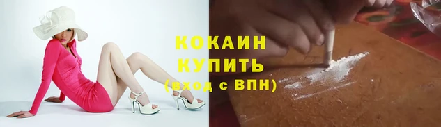 хмурый Арсеньев