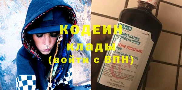 хмурый Арсеньев